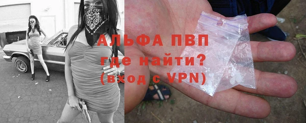 таблы Новозыбков