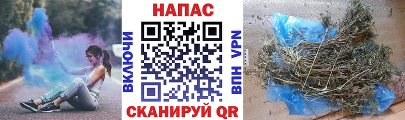 Конопля гибрид  Купить закладки  Яровое 